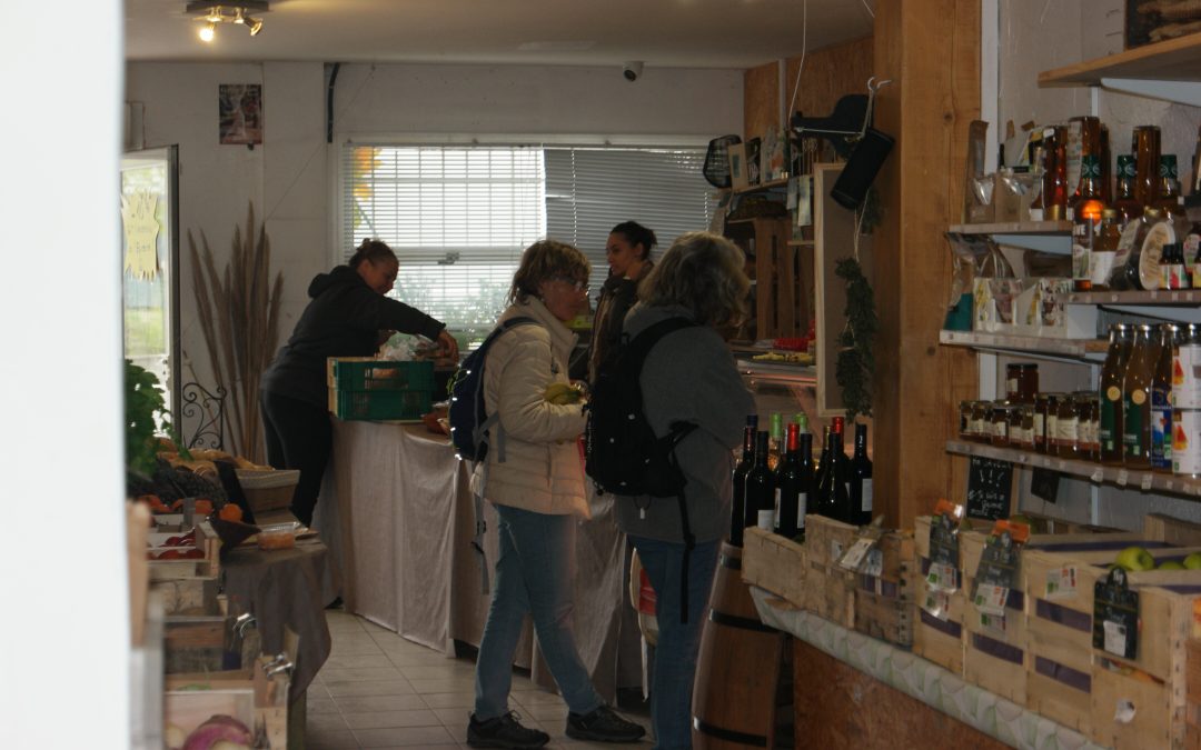 poivron bio à montescot : votre source de fruits et légumes bio locaux