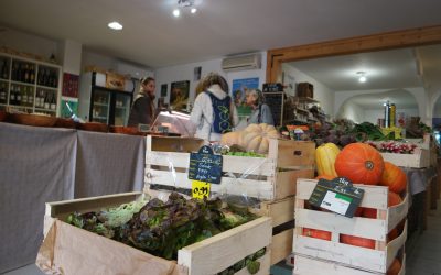 poivron bio à corneilla-la-riviere : votre source de fruits et légumes bio locaux