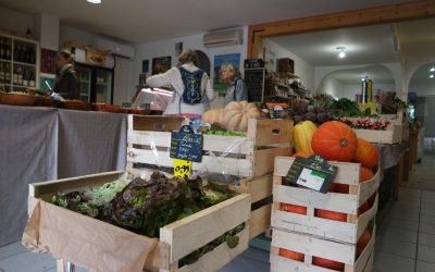 tomate bio à millas : votre source de fruits et légumes bio locaux