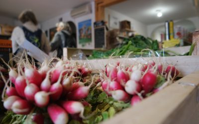 tomate bio à banyuls-sur-mer : votre source de fruits et légumes bio locaux