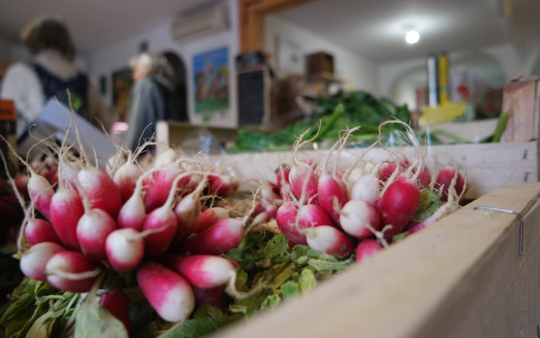 poivron bio à elne : votre source de fruits et légumes bio locaux