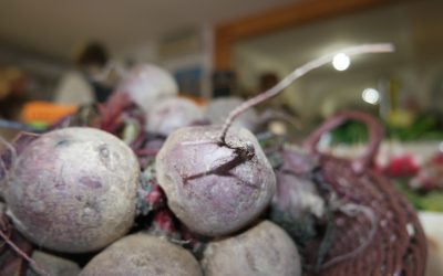 poivron bio à saint-laurent-de-la-salanque : votre source de fruits et légumes bio locaux