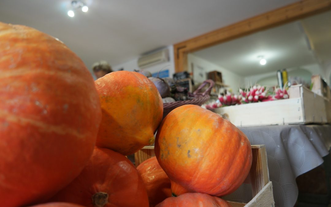 Bio des Albères : votre épicerie bio près de villelongue-dels-monts