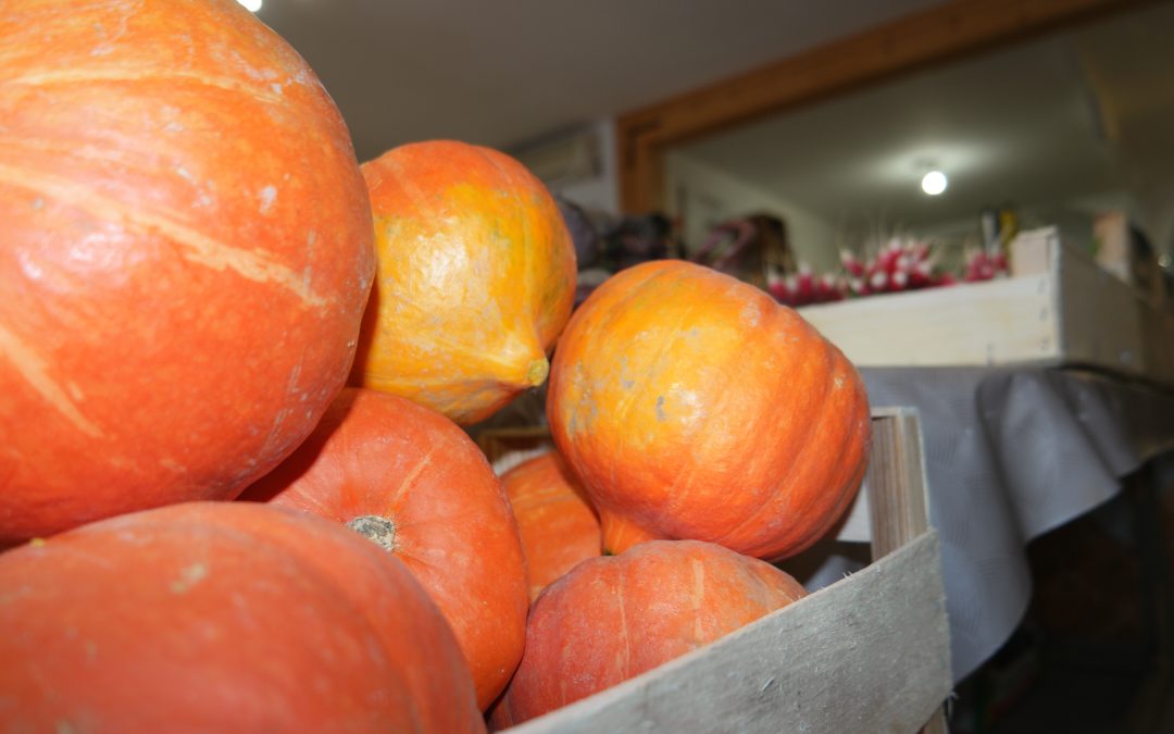 Bio des Albères : votre épicerie bio près de saint-laurent-de-la-salanque