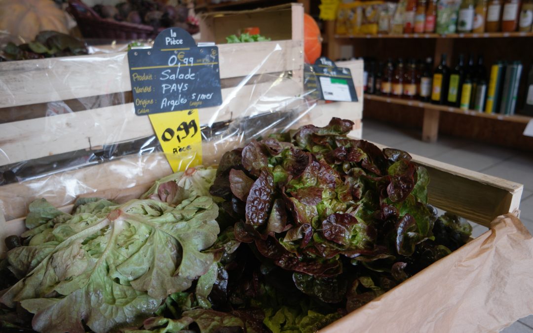 Bio des Albères : votre épicerie bio près de brouilla