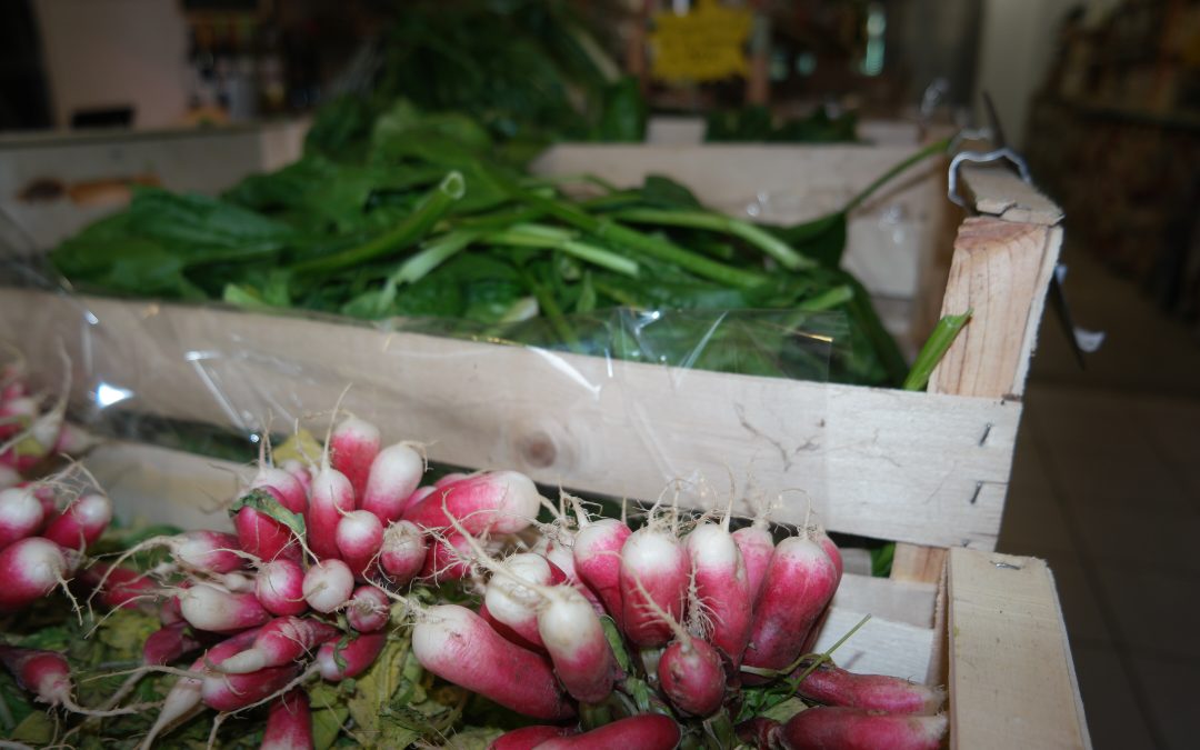 cerise bio à elne : votre source de fruits et légumes bio locaux