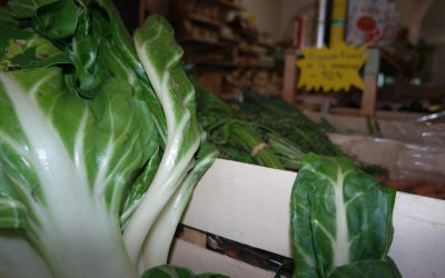 Bio des Albères : votre épicerie bio près de saint-feliu-d&rsquo;avall