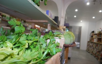 tomate bio à bages : votre source de fruits et légumes bio locaux