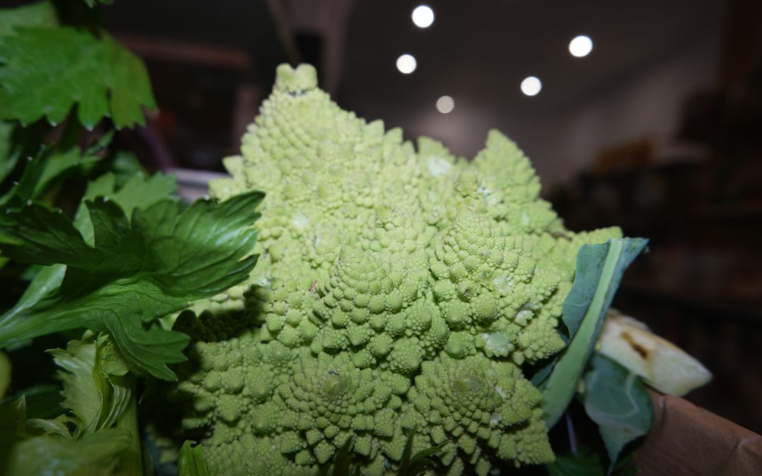 Bio des Albères : votre épicerie bio près de millas