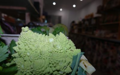 Bio des Albères : votre épicerie bio près de bages