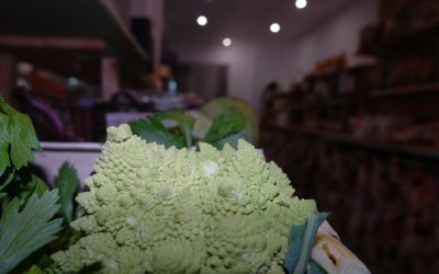 poivron bio à millas : votre source de fruits et légumes bio locaux