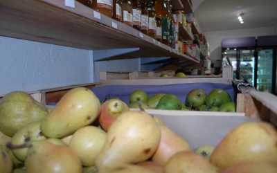 courgette bio à montesquieu-des-alberes : votre source de fruits et légumes bio locaux