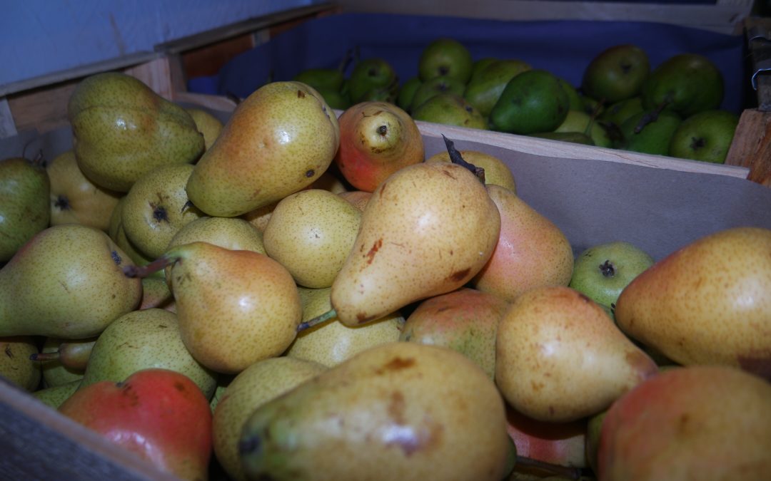Achetez vos Fromages bio à collioure 66190 avec Bio des Albères