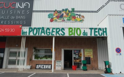 cerise bio à villemolaque : votre source de fruits et légumes bio locaux