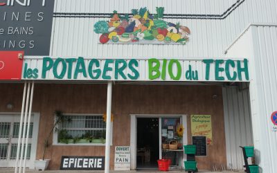 tomate bio à pia : votre source de fruits et légumes bio locaux