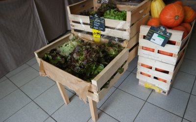 melon bio à cabestany : votre source de fruits et légumes bio locaux