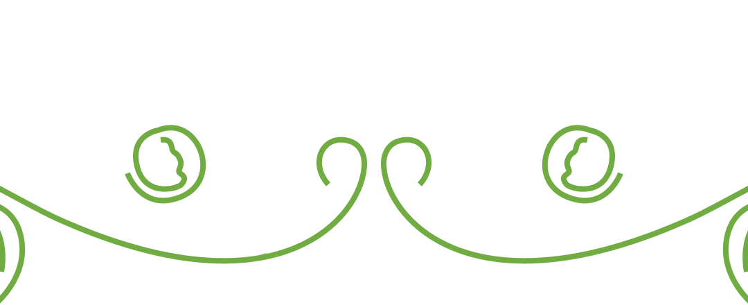 fraise bio à saint-cyprien : votre source de fruits et légumes bio locaux