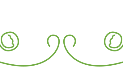 fraise bio à saint-cyprien : votre source de fruits et légumes bio locaux