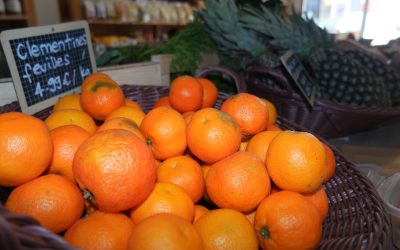 Bio des Albères : votre épicerie bio près de argeles sur mer