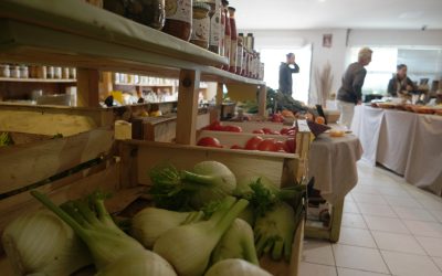 poivron bio à sainte-marie : votre source de fruits et légumes bio locaux