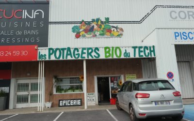 poivron bio à saint-cyprien : votre source de fruits et légumes bio locaux