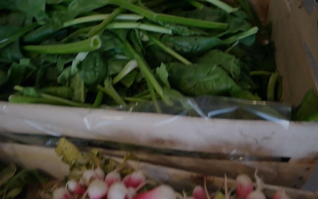 poivron bio à villemolaque : votre source de fruits et légumes bio locaux