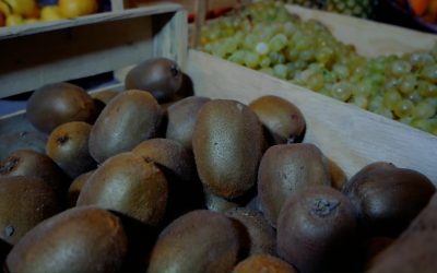 pasteque bio à pia : votre source de fruits et légumes bio locaux