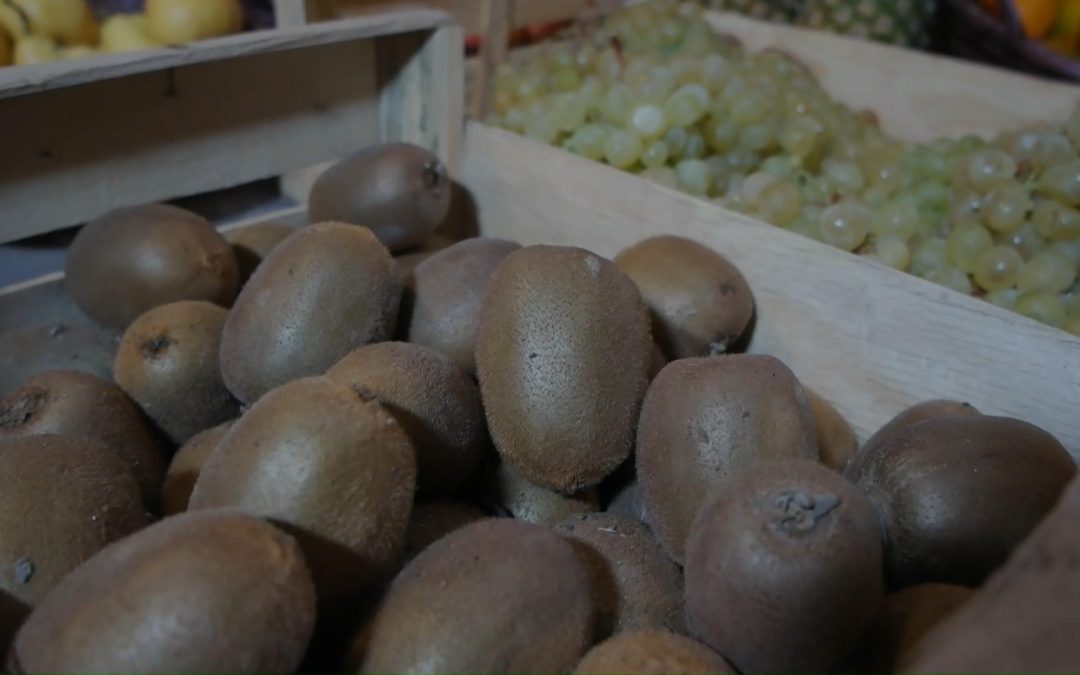 tomate bio à llupia : votre source de fruits et légumes bio locaux