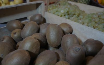 tomate bio à llupia : votre source de fruits et légumes bio locaux